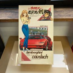 超レア　プラモデル　車　サーキットの狼Ⅱ　モデナの剣　フジミ模型　1/24