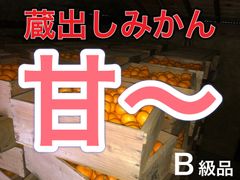 和歌山産　蔵出しみかん　B級品　10kgのサムネイル