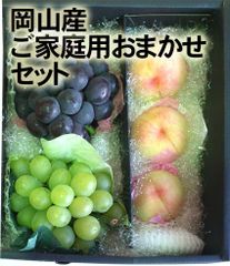 【冷蔵便　岡山産　ご家庭用　おまかせセット　桃・ぶどう　ご予約品　発送：8月上旬～