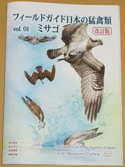 猛禽類、ハト、水鳥マニュアル 楽天市場】玩具 鷹 タカ 鷲 ワシ 動く 鳴く 猛禽類 おもちゃ 鳥