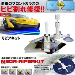 フロントガラス リペアキット 傷 ひび割れ補修 飛び石 傷 修理 穴埋め 固定補修 小さな損傷飛び石 修復  日本語取説 送料無料