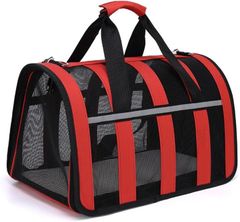 Item thumbnail for item 1c011a9a-8ce4-4fae-843b-d52e74664ae2