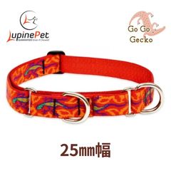 ハーフチョークカラー　ゴーゴーゲッコー柄Go Go Gecko　25mm幅　アメリカ製　軽量　丈夫　アメリカ直輸入　LUPINE ルパイン