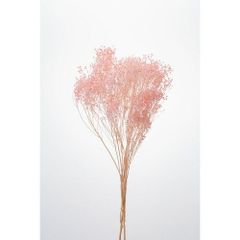 Item thumbnail for item 0a94e600-c2d4-4ed6-ac0e-6e9ae0f2191d