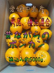 【SALE】ポンカン　秀品、優品混合　箱込み約5Kg.