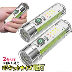 懐中電灯 LED 充電式 小型 LED懐中電灯 ライト ハンディライト 2個セット USB タイプC ボディ発光 照明 作業灯 LED照明 夜間 散歩 作業 DIY スケルトン 2-SKELGT 送料無料 ネコポス