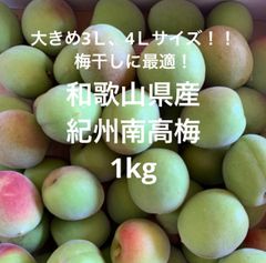クール便！和歌山県産 紀州梅 露茜 つゆあかね 訳あり1kg - メルカリ