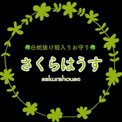 makiさまオーダー＊白蛇抜け殻入りお守り／浄化皿 makiさまオーダー＊白蛇抜け殻入りお守り／浄化皿 makiさま