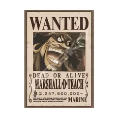 2026年最新】ワンピース懸賞金の人気アイテム - メルカリ