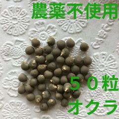【農薬不使用】オクラの種 体力増進 夏野菜の種
