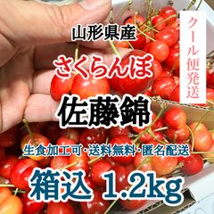 【クール便】山形県産 さくらんぼ 佐藤錦 箱込1.2kg 訳あり 送料無料