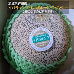 メロン 【方波見農園】 むつみレッド イバラキング クインシー どれか1種 3L以上 1玉 1.2~1.4kg 糖度16度以上 贈答用 茨城県鉾田市 母の日 父の日 《5/上旬～5/中旬より出荷》