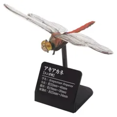 さえら　アキアカネテーブルクロス CATEGORY さえら アキアカネ | さえら POTECHINO マリーアン金沢