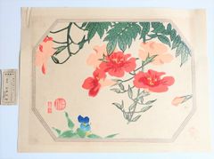 徳力富吉郎「ノーゼンカヅラ」花五十第 木版画 芸艸堂発行 額無 同梱可能 絵入絵本 浮世絵 絵画 骨董 古美術 和本
