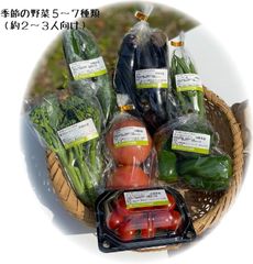 沖縄県産 季節の野菜セット(2～3人向け)《野菜5～7種類》