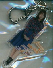乃木坂46 個別アクリルキーホルダー 西野七瀬 11個セット 乃木坂46 西野七瀬 アクリルキーホルダー - メルカリ
