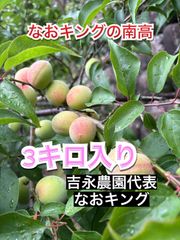 南高梅 3キロ 6月15以降 梅 なおキングの梅
