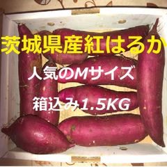 【茨城県産】さつまいも紅はるか 人気のMサイズ　箱込み1.5KG/コンパクト配送
