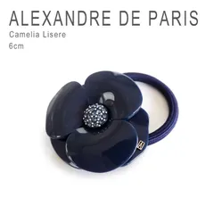 2025年最新】アレクサンドルドゥパリ ポニーの人気アイテム - メルカリ