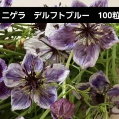 2025年最新】デルフト ブルーの人気アイテム - メルカリ 2025年最新】デルフト ブルーの人気アイテム - メルカリ