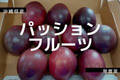 沖縄産パッションフルーツ　10個   無農薬