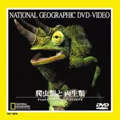 2025年最新】ナショナルジオグラフィック dvdの人気アイテム