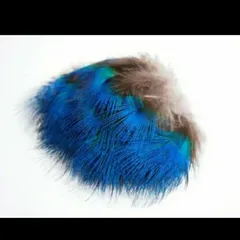 高品質！ブルーネック 孔雀の羽根 フライマテリアル・鳥の羽根 装飾用にもどうぞ！