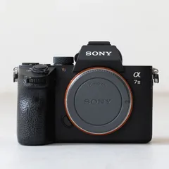 2025年最新】sony α7iii ボディ ilce-7m3の人気アイテム - メルカリ