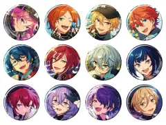 【中古】バッジ・ビンズ 全12種セット 「あんさんぶるスターズ!! コレクション缶バッジ[2025 Mar.]-Idol Side-」