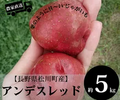 2025年最新】ズハオの人気アイテム - メルカリ