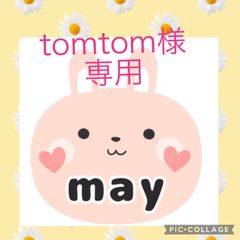 tomtom様専用　洗濯バサミなし・オプションプラス中間車、後方列車