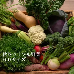 2024年最新】旬野菜詰め合わせ60サイズの人気アイテム - メルカリ