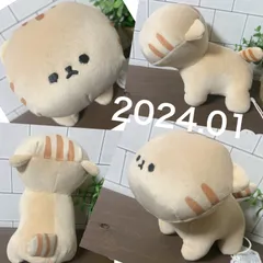 2024年最新】もふもふレンズの人気アイテム - メルカリ