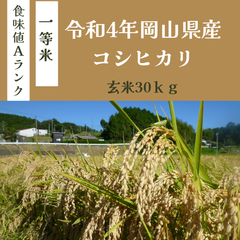 【送料無料】令和4年岡山県産コシヒカリ３０kg玄米（精米可）