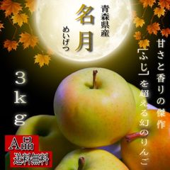 青森県産 ぐんま名月 りんご【A品3kg】【送料無料】【農家直送】リンゴ