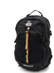 CHUMS チャムス Spring Dale 25 スプリングデール25 リュック バッグ 新品 正規品