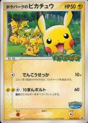 2025年最新】ポケモンカード ポケパーク限定の人気アイテム 2025年最新】ポケモンカード ポケパーク限定の人気アイテム