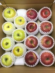 青森県産りんご 家庭用 きずあり サンふじ・王林 ハーフ 約10kg(5kg×2箱)【光センサ選果済】