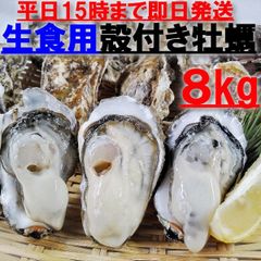 生食用 殻付き 牡蠣 ８ｋｇ（56~120粒）牡蠣 殻付き 牡蛎牡蠣 殻付宮城県