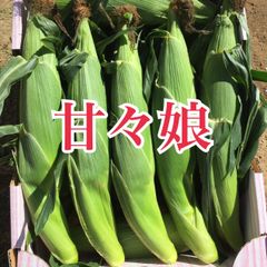 甘々娘　とうもろこしのサムネイル