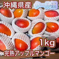 沖縄県 豊見城産 アップルマンゴー 1kg