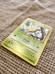 NO006_ビードル_ポケモンカード_旧裏