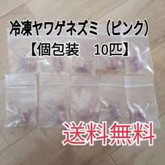 2025年最新】ヤワゲネズミの人気アイテム - メルカリ
