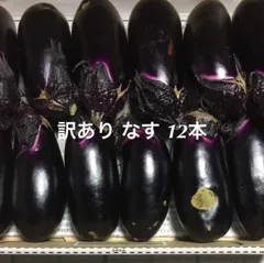 なすお出品 Amazon.co.jp: ISTORA 糸くずフィルター 東芝 洗濯機用 42044612