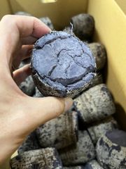 沖縄県産　田芋1キロ　タイモ　加熱調理済み