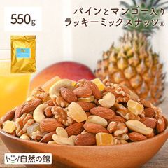 訳あり  パインとマンゴー入りミックスナッツ入りミックスナッツ550g ミックスナッツ ドライフルーツ トレイルミックス ナッツ