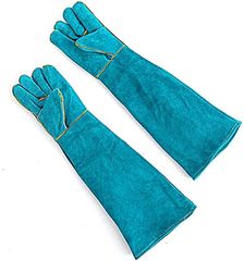 Item thumbnail for item 60393b47-4015-45af-861c-df9752ae44f3