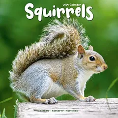 2024年最新】squirrelの人気アイテム - メルカリ