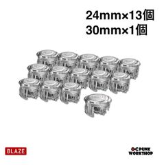 PUNK WORKSHOP PWS Blaze ボタン パンクワークショップ 24mm×13個 30mm×1個
