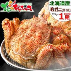 カニ 北海道産 大 毛ガニ 1尾 (姿/570g×1尾/ボイル/冷凍) かに 蟹 毛がに 毛蟹 かにみそ カニミソ ボイル ギフト 贈り物 お祝い 内祝い プレゼント ご家庭用 ご馳走 贅沢 北海道 グルメ お取り寄せのサムネイル